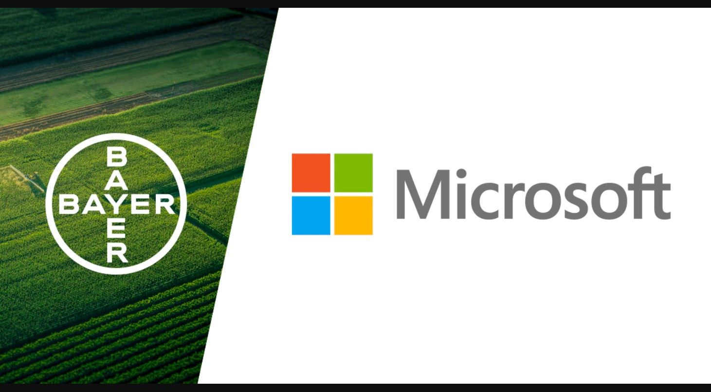 bayer microsoft
