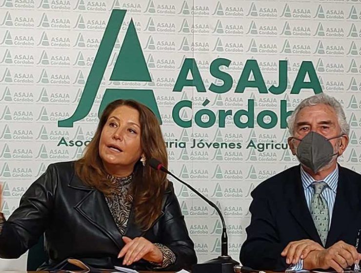 consejera asaja