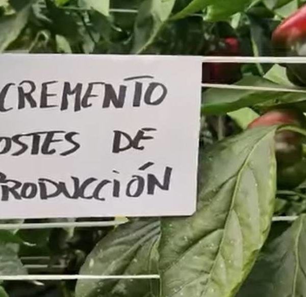 costes de producción