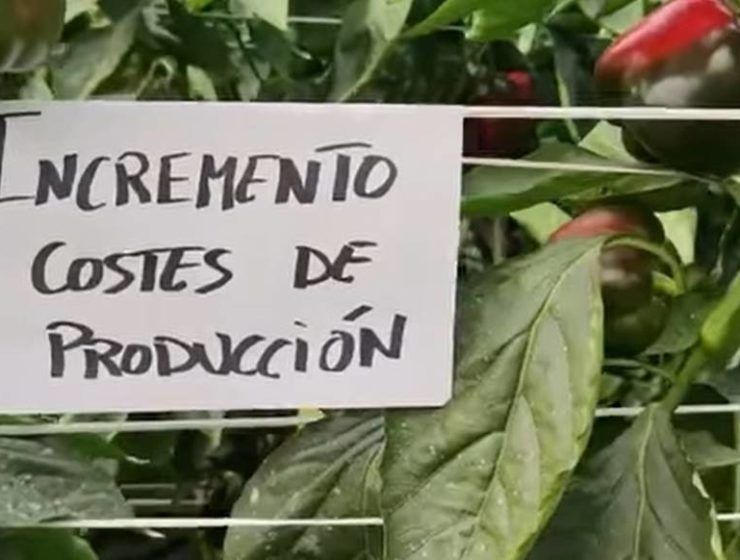 costes de producción