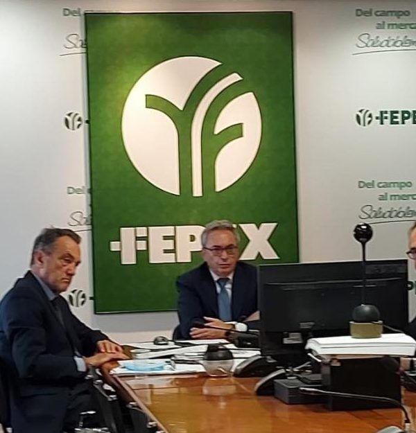 fepex