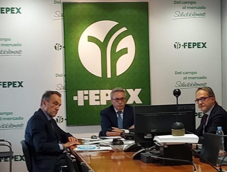 fepex