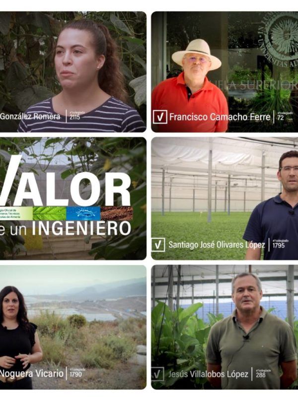 ingenieros