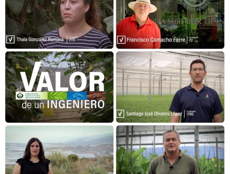 ingenieros