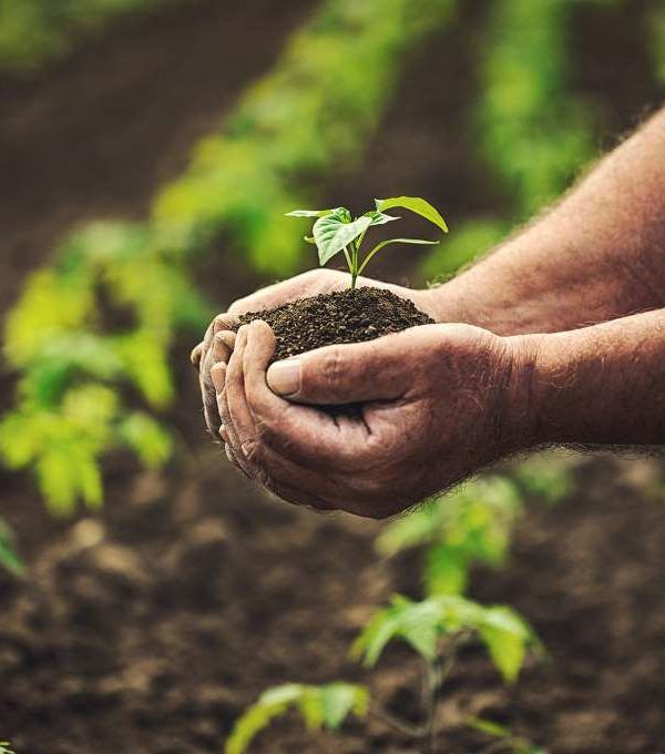 mano agricultor
