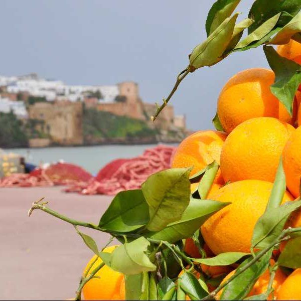 naranjas