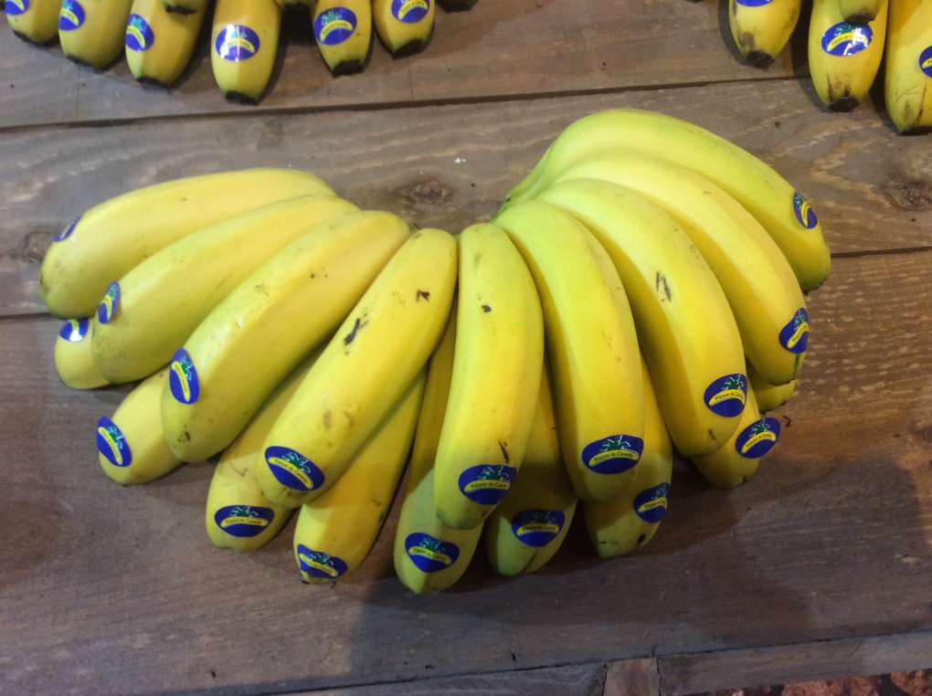 plátanos de Canaria