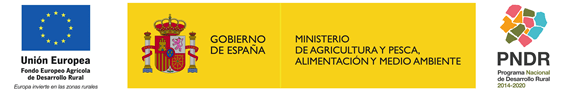 proyectos grupos operativo invereconect