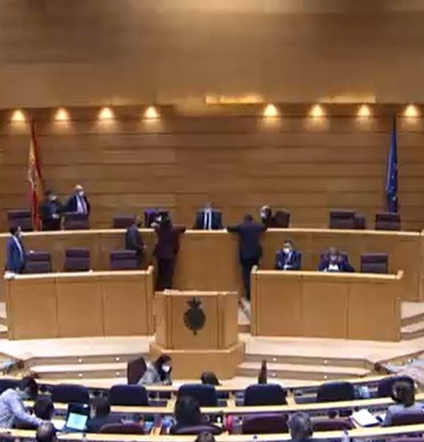 senado