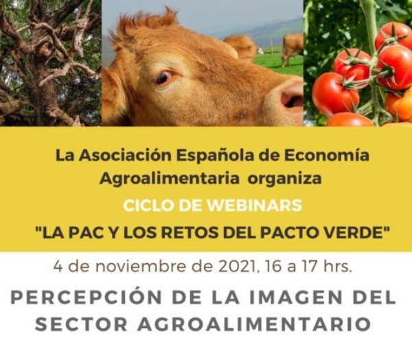 webinar AEEA