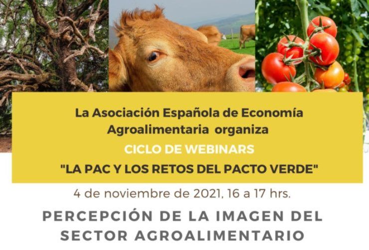 webinar AEEA
