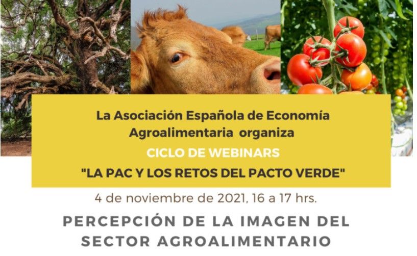 webinar AEEA