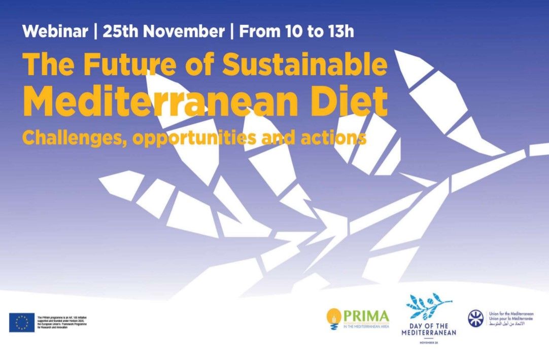 webinar dieta