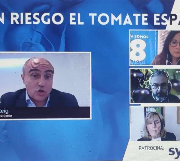 webinar mercado tomate