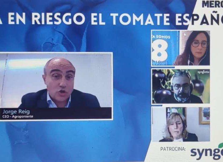 webinar mercado tomate