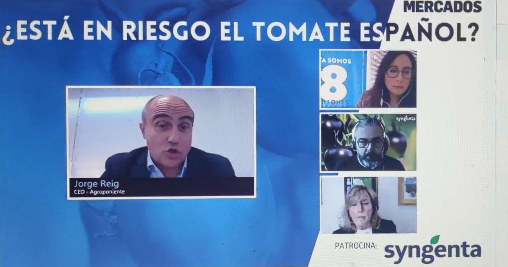 webinar mercado tomate
