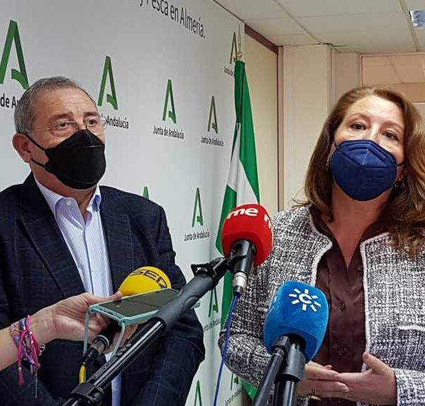 EXTENSIÓN DE NORMA