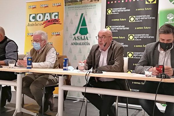 cooperativas Agro Alimentarias de Andalucía