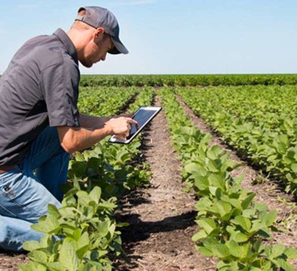 agricultor tablet