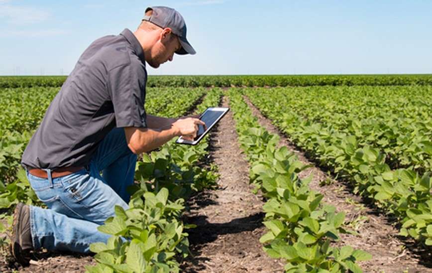 agricultor tablet
