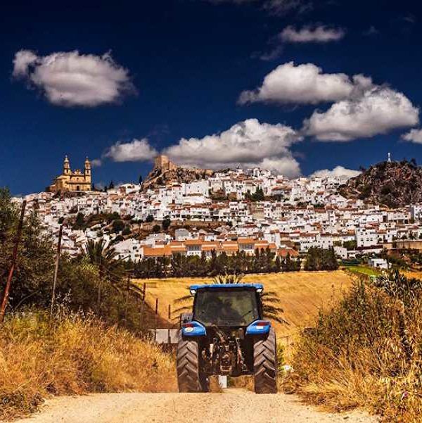 agricultura