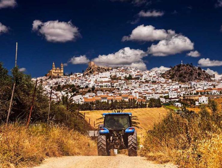 agricultura