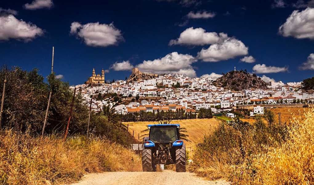 agricultura