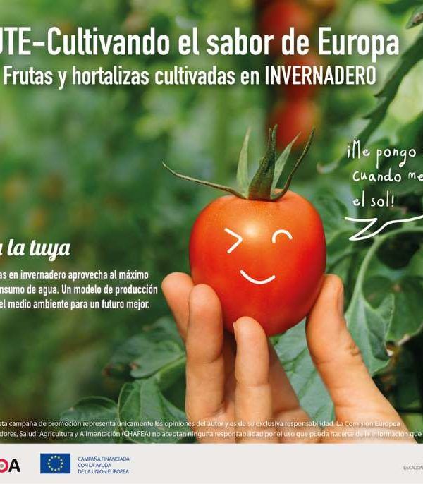 campaña cute