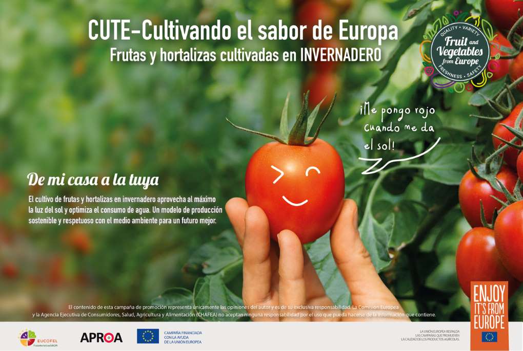 campaña cute