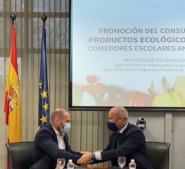 comedores escolares