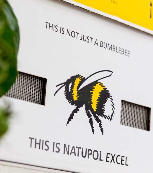 natupol Koppert
