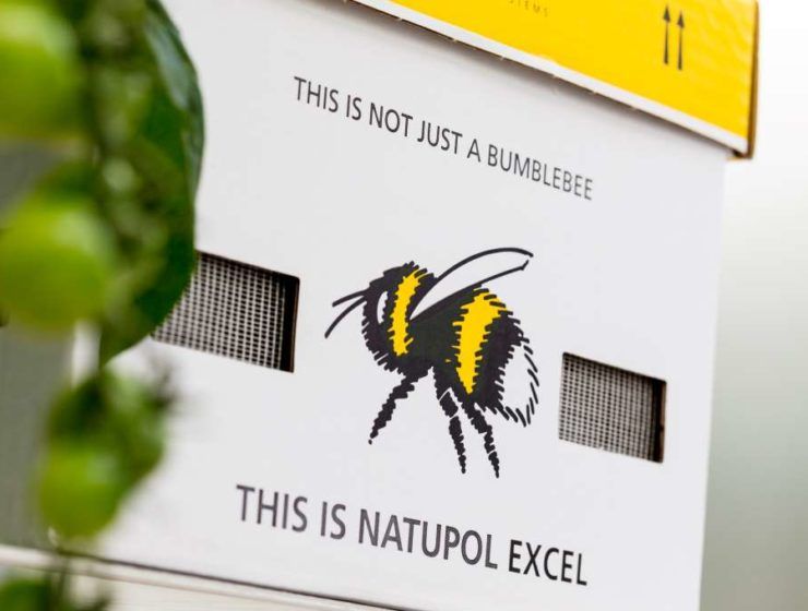 natupol Koppert