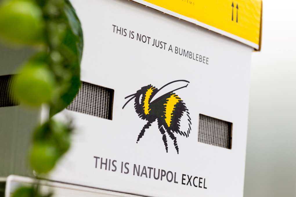 natupol Koppert