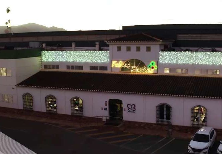primaflor navidad