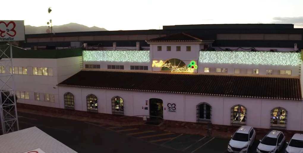 primaflor navidad