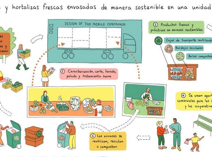proyecto FOX