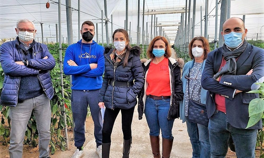 Ayudas jóvenes Agricultura Almería