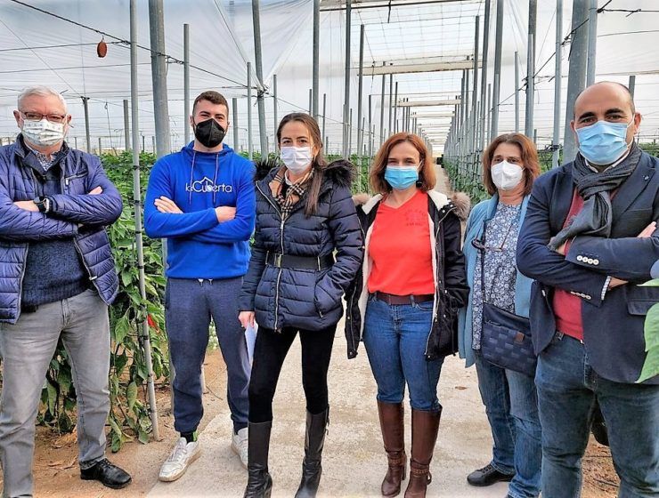 Ayudas jóvenes Agricultura Almería
