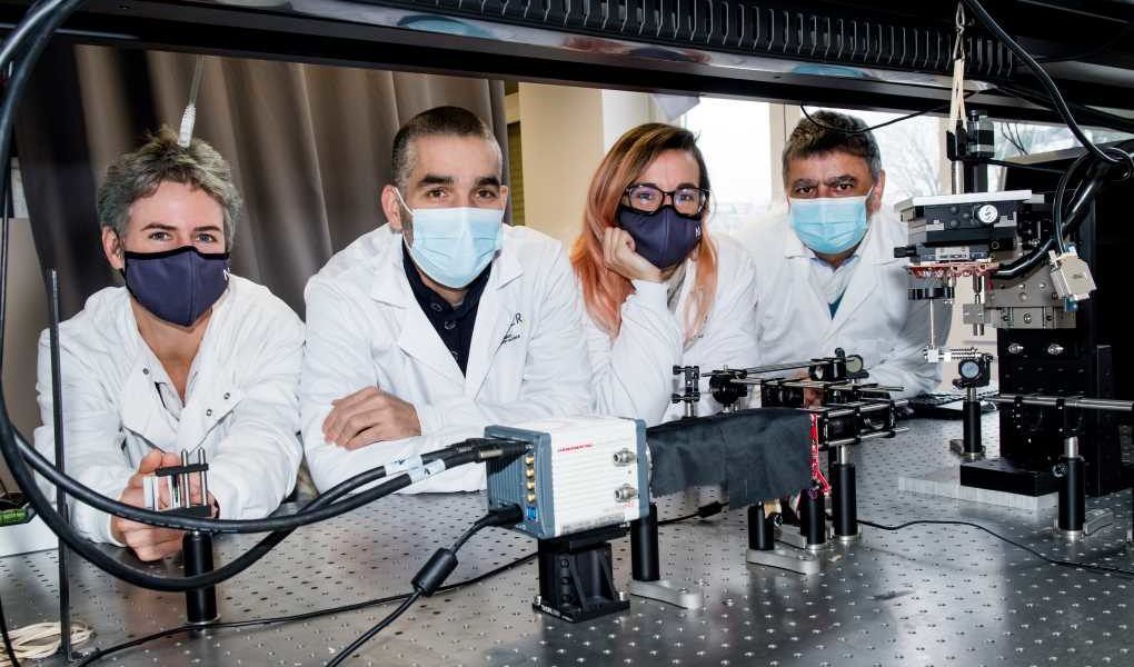 Investigadores suelo microscopio