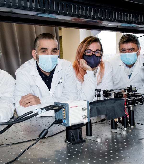 Investigadores suelo microscopio