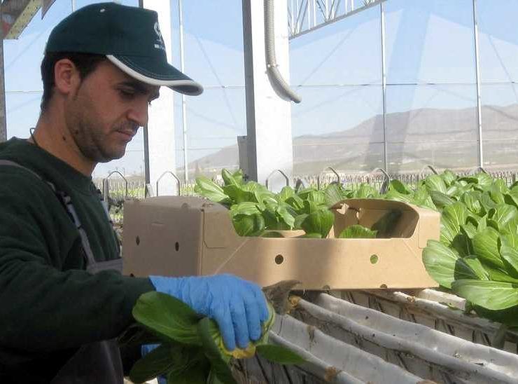JovenesAgricultores