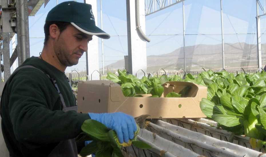 JovenesAgricultores