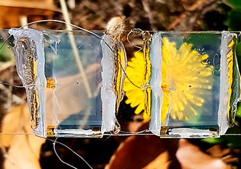 célula solar transparente