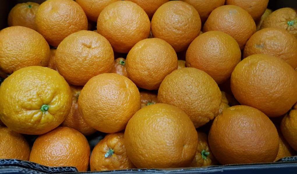 cítricos