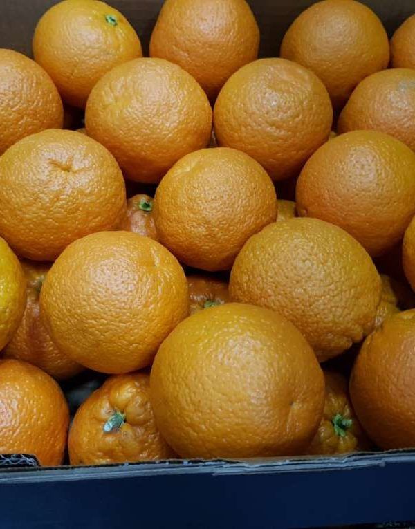 cítricos