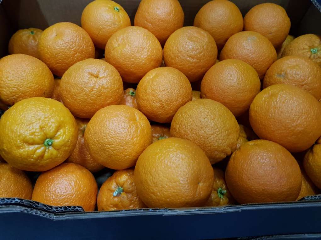 cítricos