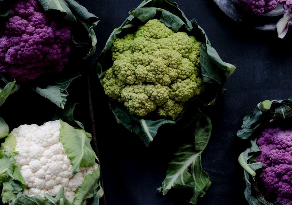 coliflor multicolor