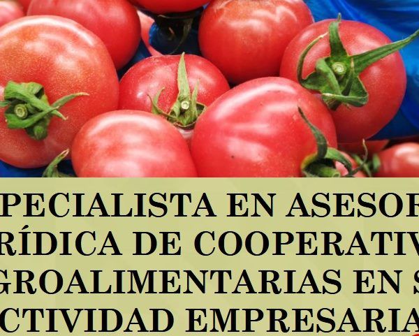 especialista asesoría