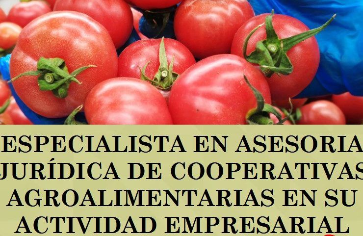 especialista asesoría