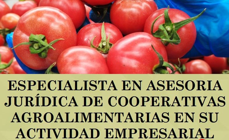 especialista asesoría